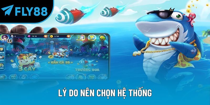 Lý do nên chọn hệ thống